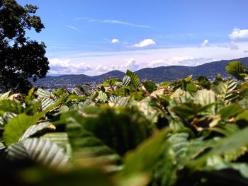 Scenic view of mountains against sky