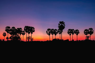 Silhouette palm trees against sky during sunset