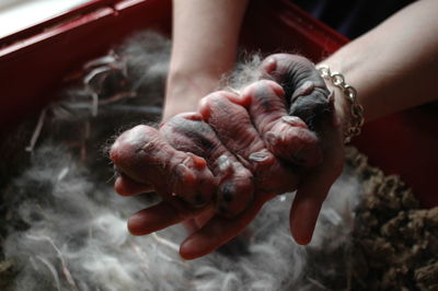 Close-up of hand holding ice cream