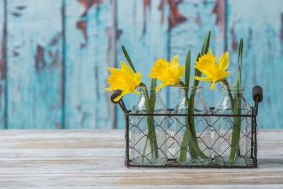 Close-up of yellow flowers on table