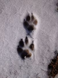 Full frame shot of snow in winter