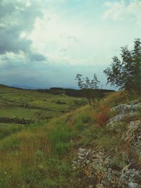 Scenic view of landscape against sky