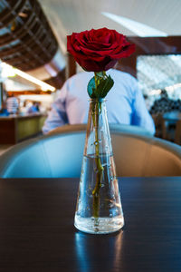 Close-up of red rose in glass vase on table