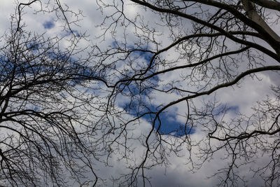 Low angle view of bare tree against sky