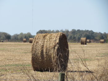 Hay bales on field against sky