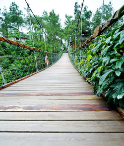 Surface level of footbridge on footpath