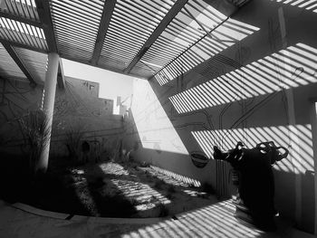 Rear view of man standing on wall