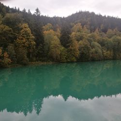 Scenic view of lake in forest during autumn