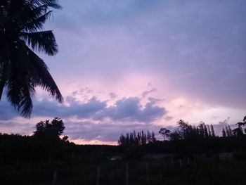 Silhouette trees on landscape against sky at sunset