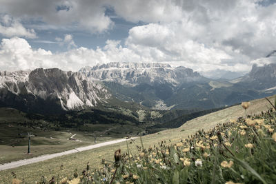 Scenic view of sella group mountains with flowers in the foreground against cloudy sky in retro styl