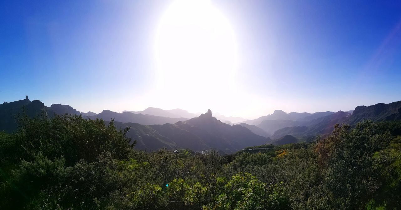 nature, beauty in nature, sky, sun, sunlight, mountain, scenics, tree, tranquil scene, idyllic, growth, tranquility, no people, outdoors, landscape, day