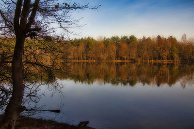 Scenic view of lake by trees against sky