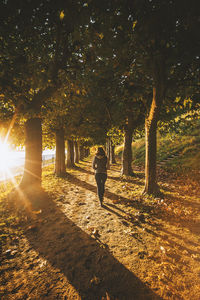 Rear view of woman walking on tree