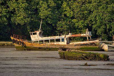 Abandoned boat in river amidst trees in forest