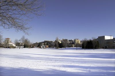 Snow covered buildings in city