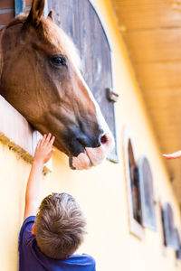 Side view of boy with horse