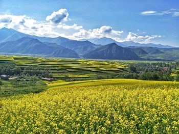 Scenic view of field against cloudy sky