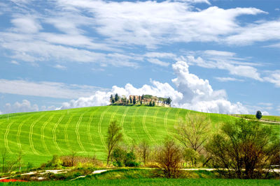 Scenic view of field against sky