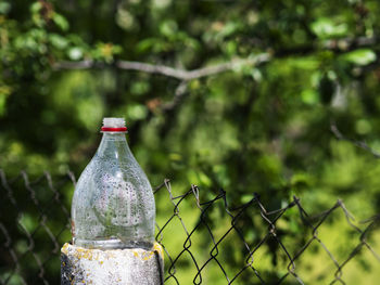 Cut plastic bottle is used as a plug for the support pipes of the mesh fence