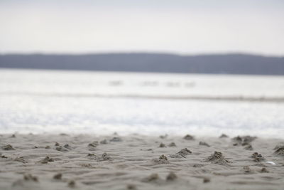 Surface level of beach against sky