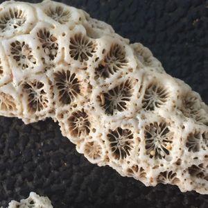 Close-up high angle view of sunlight