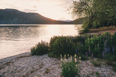 Scenic view of lake against sky during sunset