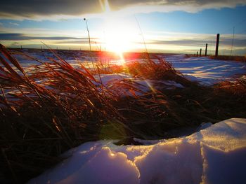 Scenic view of field against sky during winter