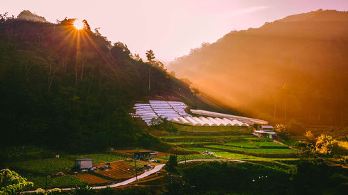 High angle view of green landscape against sky during sunset