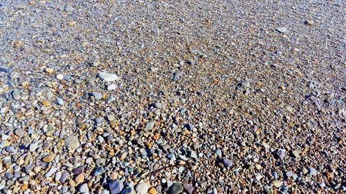 Full frame shot of pebble beach