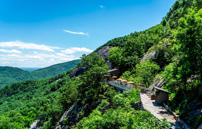 High angle view of plants growing on mountain against sky