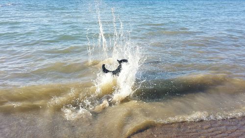 Waves splashing in sea