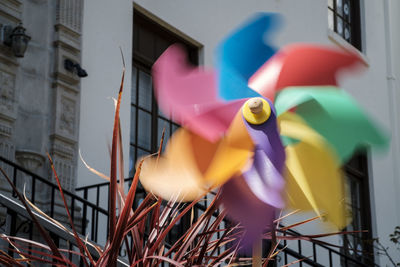 Close-up of multi colored built structure