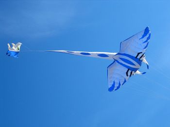 Low angle view of kite flying against sky during festival