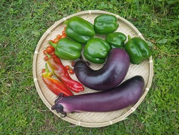 High angle view of vegetables in grass