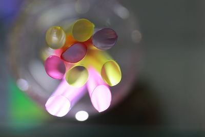 Close-up of multi colored balloons