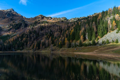 Scenic view of lake by trees against sky