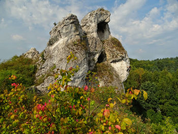 Scenic view of rocks by plants against sky