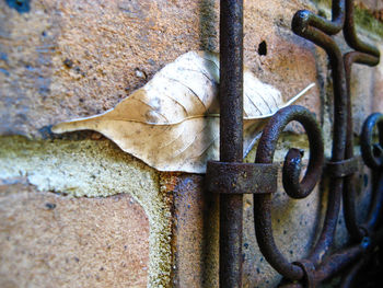 Close-up of rusty metal