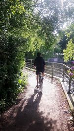 Rear view of man riding bicycle