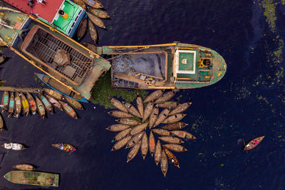 High angle view of trees by lake