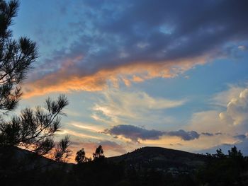 Low angle view of silhouette trees against sky during sunset