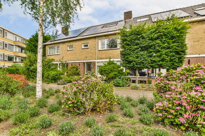 Trees and houses