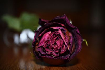 Close-up of red rose on table