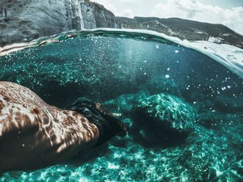 Close-up of jellyfish swimming in sea