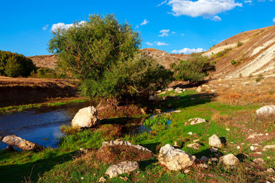 Riverside county park with big rocks on the downhill . little river nature