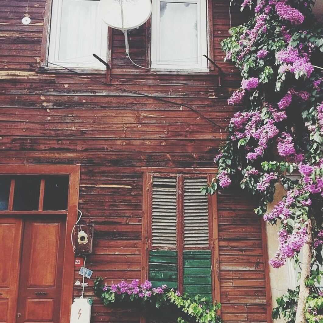 building exterior, architecture, built structure, window, house, residential structure, door, plant, flower, residential building, growth, closed, brick wall, day, potted plant, outdoors, facade, ivy, no people, entrance