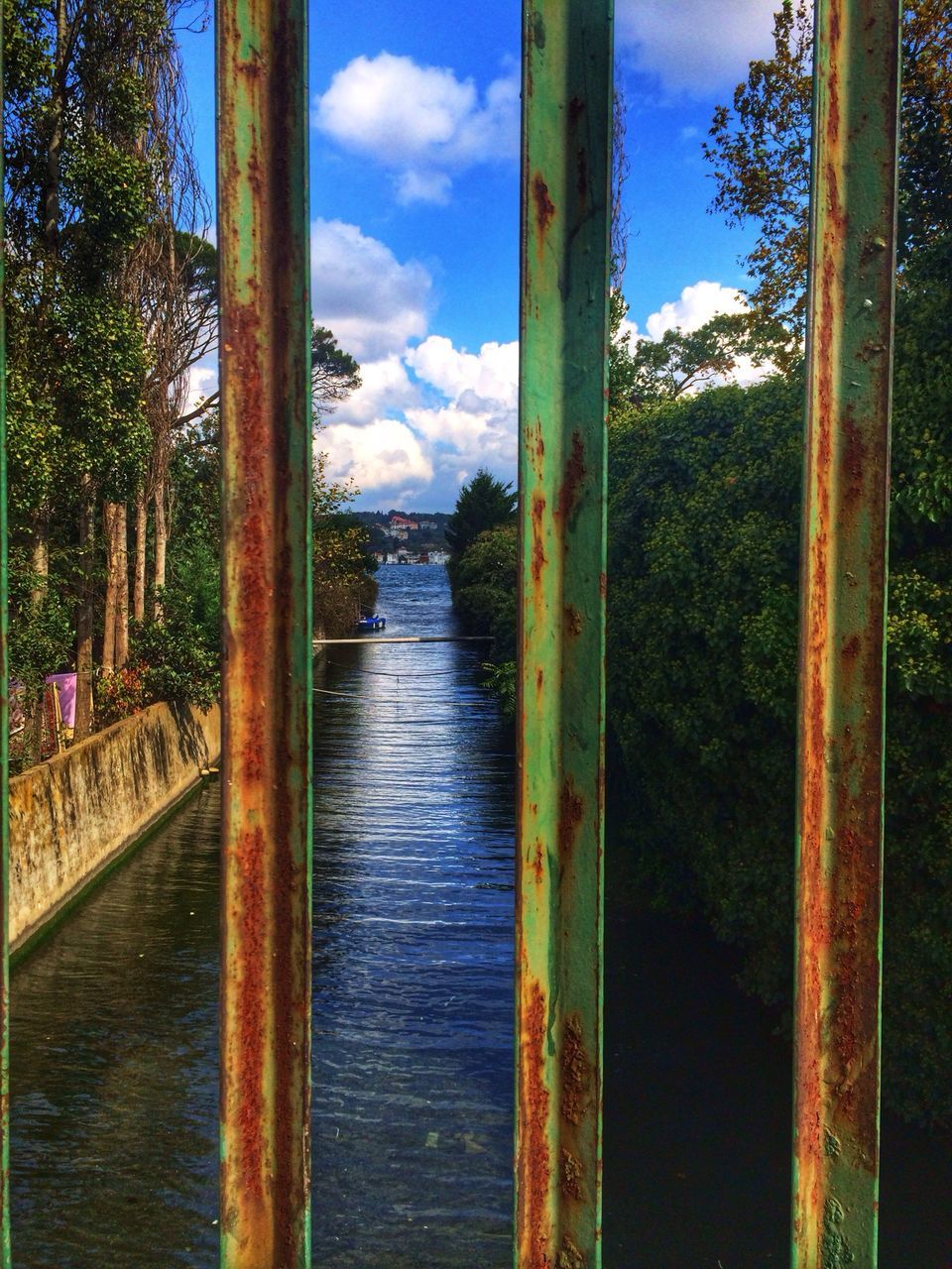 sky, water, tree, wood - material, tranquility, cloud - sky, cloud, river, tranquil scene, railing, lake, nature, pier, day, built structure, scenics, pole, no people, outdoors, beauty in nature