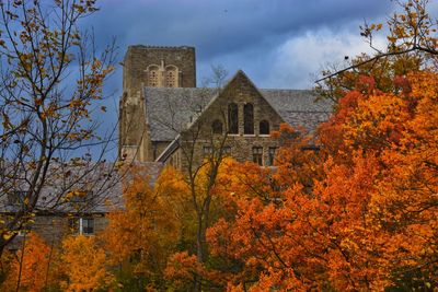 Trees and buildings against sky during autumn