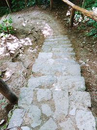 High angle view of footpath amidst rocks in forest