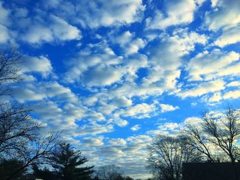 Low angle view of trees against cloudy sky